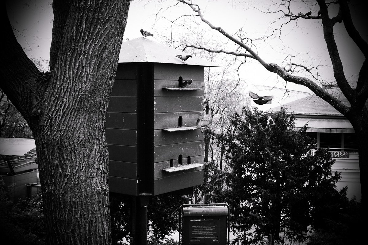 Paris im Frühling eine Reise in Bildern! Beautiful Places for Lovers