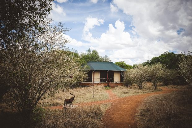 moniquedecaro-mara-bush-camp-kenia-5167