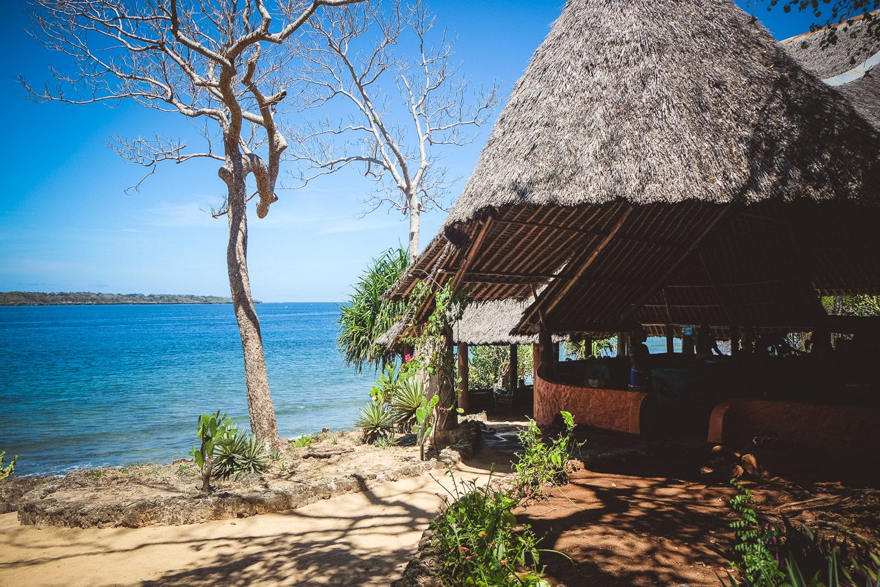 Unser Tipp für Kenia Pilli Pipa Dhow Safari Delfine