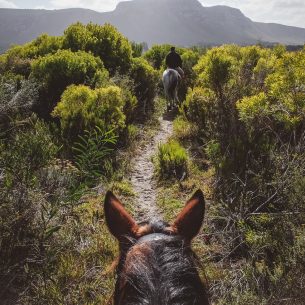 horseriding-south-africa-moniquedecaro